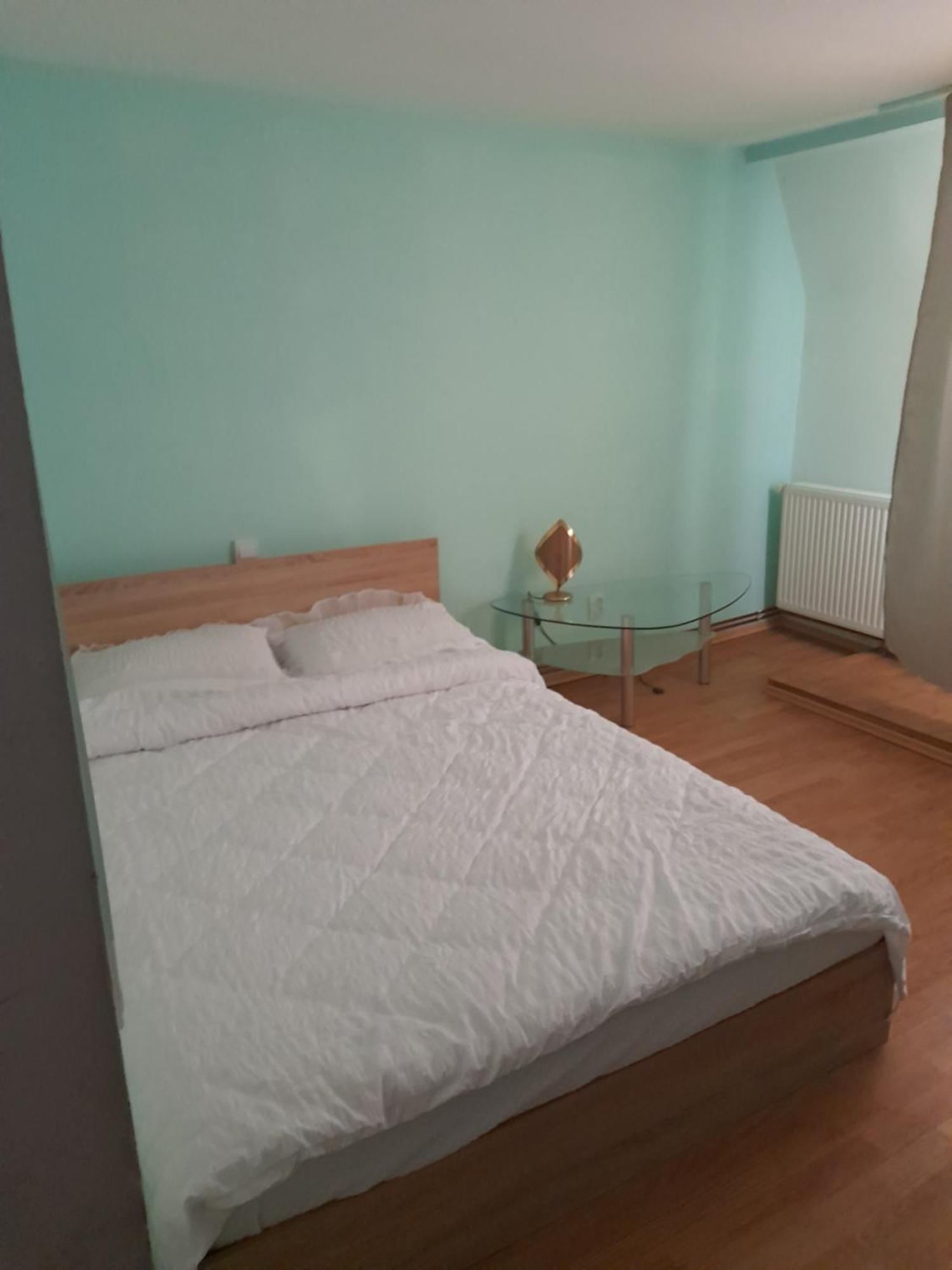 דירות קלוז'-נאפוקה Garsoniera Sic Zona Terapia Zona Linistita La Casa Cu Parcare מראה חיצוני תמונה